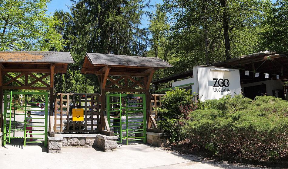Žalostna vest iz ZOO Ljubljana: Po 20 letih poginil ljubljenec obiskovalcev