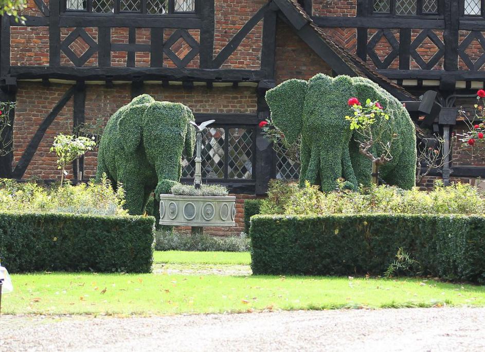 Angelina Jolie, Brad Pitt