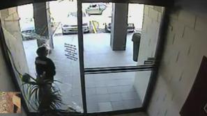 Nalimal se je na šipo