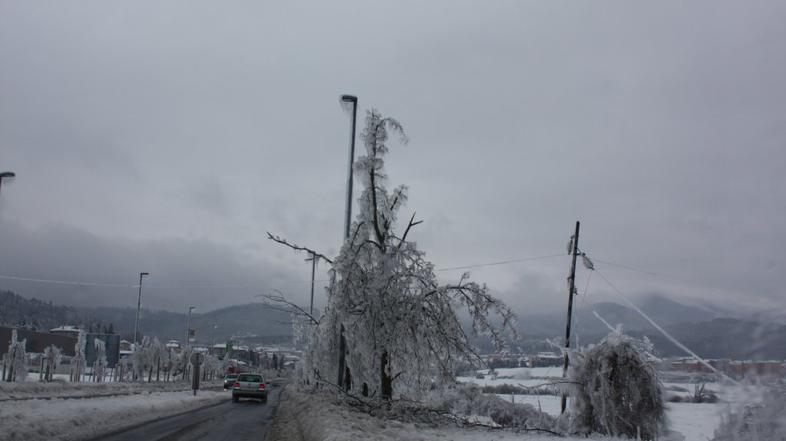 Žled v Postojni
