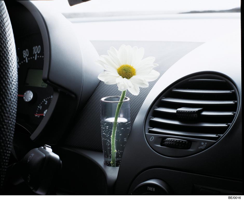 volkswagen beetle vazica | Avtor: Volkswagen