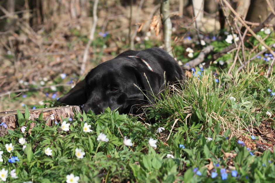 Tara in Maja Golob | Avtor: Andreja Cilenšek