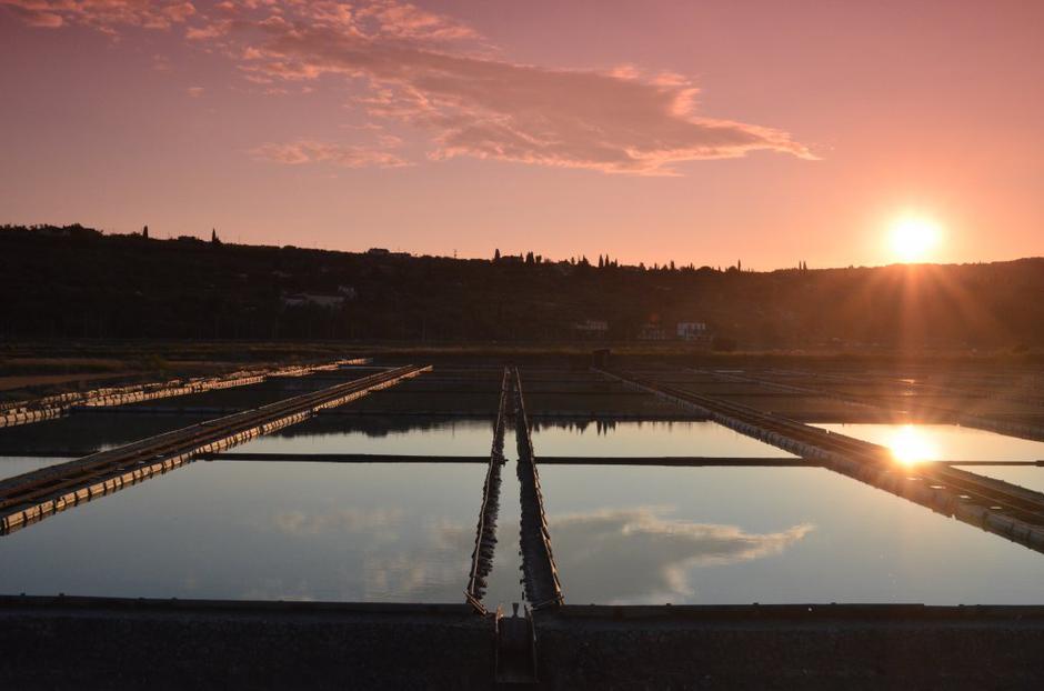 Sečoveljske soline | Avtor: Krajinski park Sečoveljske soline