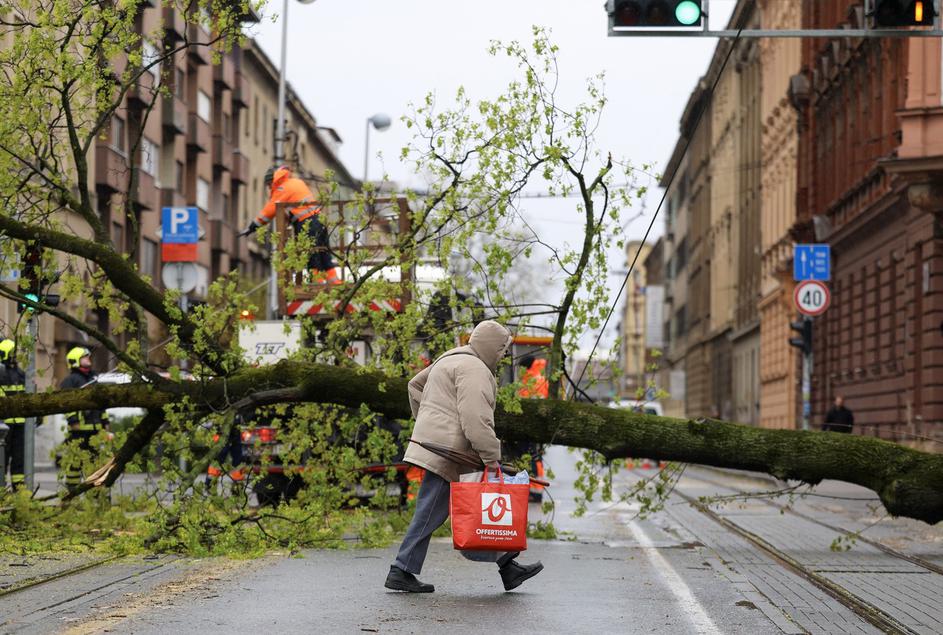 Posledice neurja, Zagreb, podrta drevesa