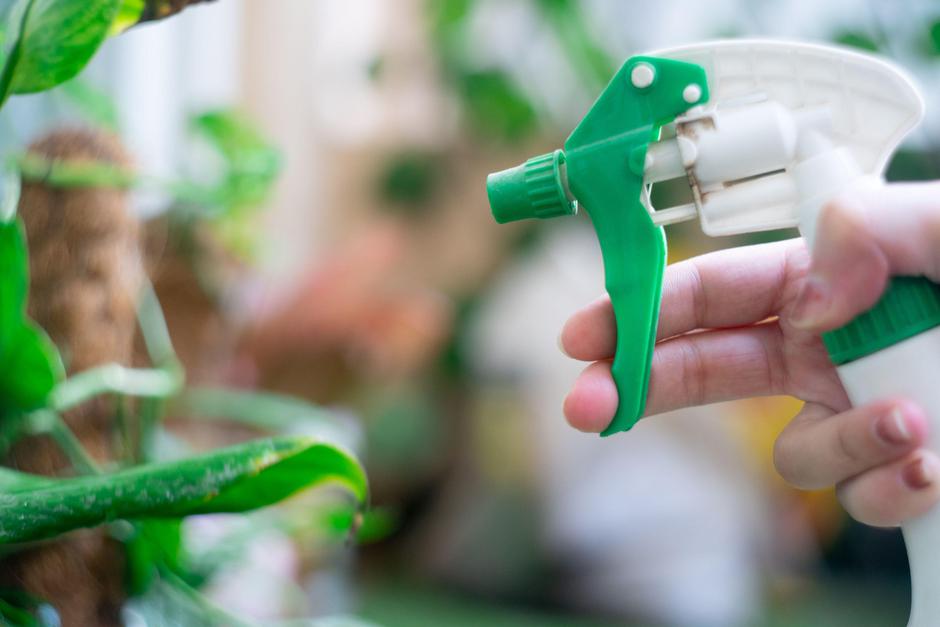 pokošena trava | Avtor: Profimedia