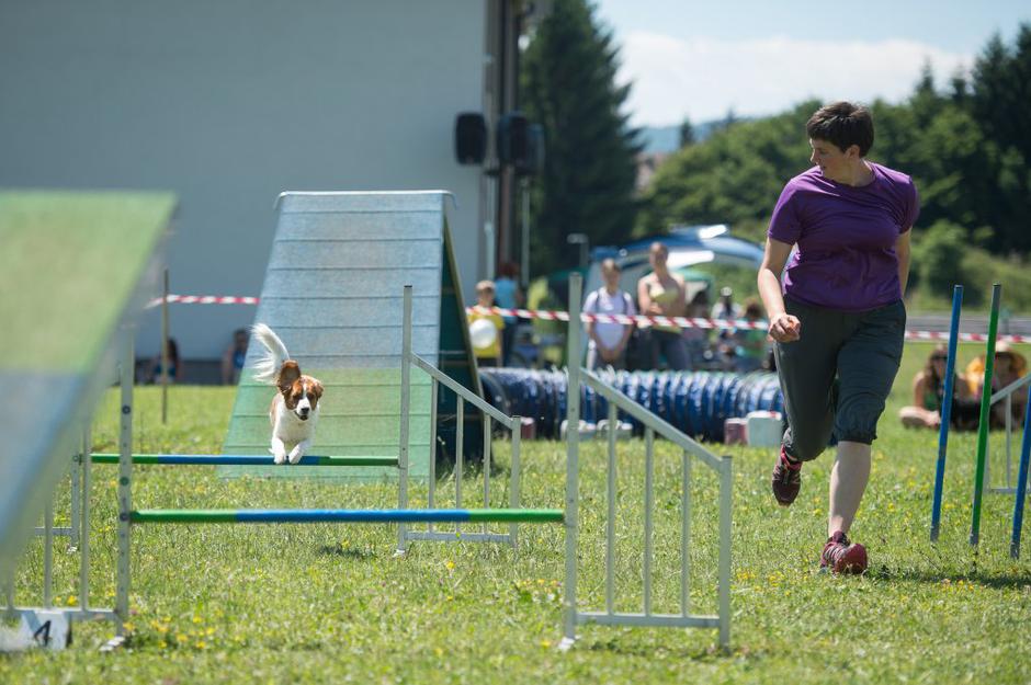 Festival za ljubitelje živali | Avtor: Anže Petkovšek