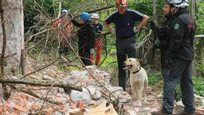 psi reševalci mednarodna vaja vodnikov reševalnih psov