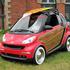 Smart fortwo woodie package
