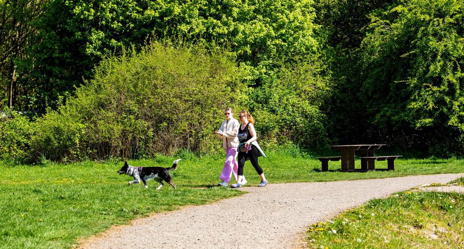 pomlad narava park drevesa ljudje se sprehajajo | Avtor: Profimedia