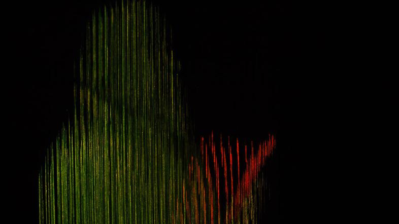 Scout Niblett v Trubarjevi hiši literature