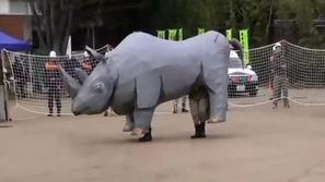Pobeg nosoroga