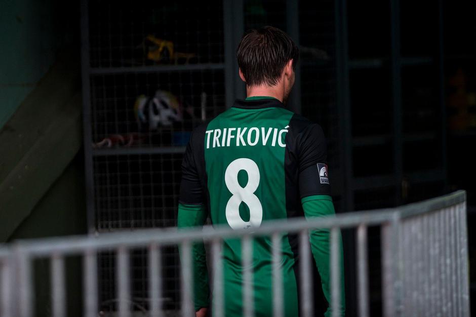 Damjan Trifković | Avtor: Profimedia