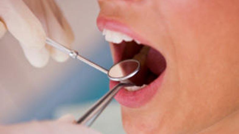 Sivka zmanjšuje živčnost v zobozdravstveni čakalnici.