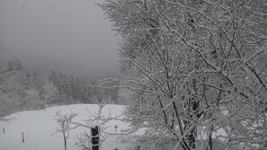 Sneženje v Zavrčah pri Mislinji