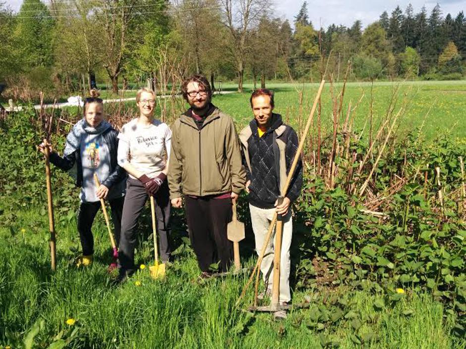 Japonski dresnik | Avtor: Andrej Kurent