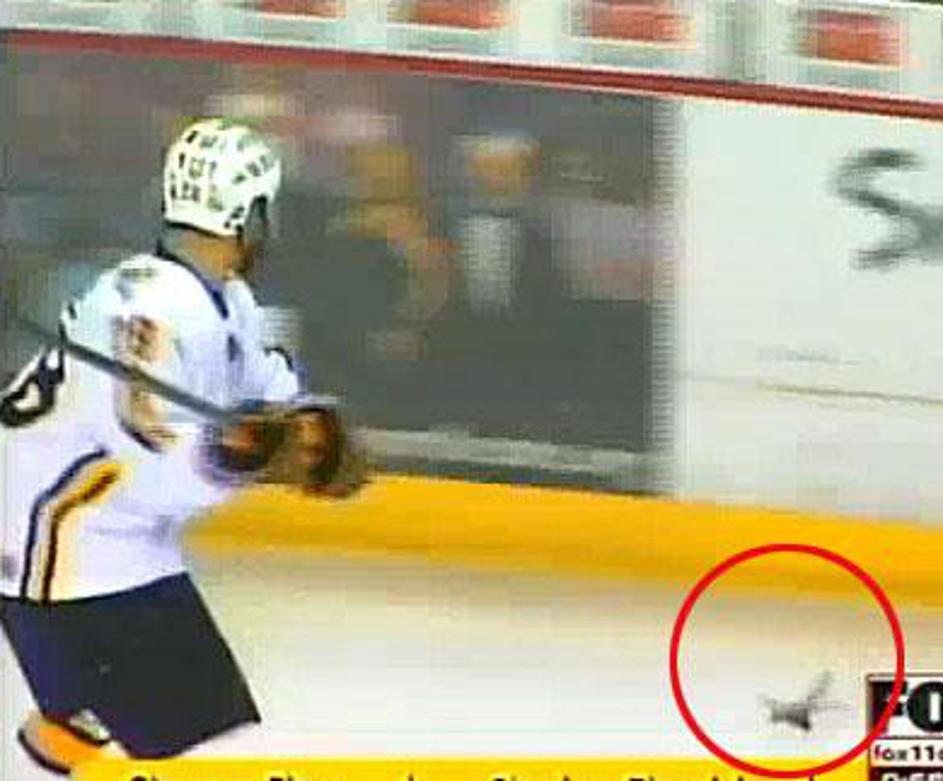 Eden zadnjih trenutkov netopirjevega življenja. (Foto: YouTube)