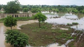 Uničeno riževo polje v Gani