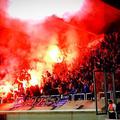 Dinamo Zagreb navijači