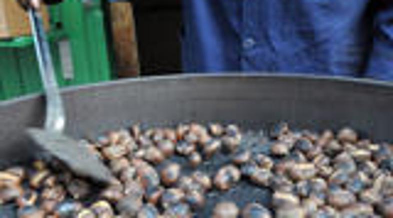 Največ zanimanja je za lokaciji na Cankarjevem in Hribarjevem nabrežju, pravijo 