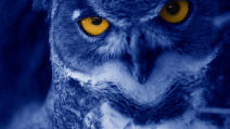 Razmislite, kaj je bilo tisto, kar je otroka pripeljalo do tega strahu.