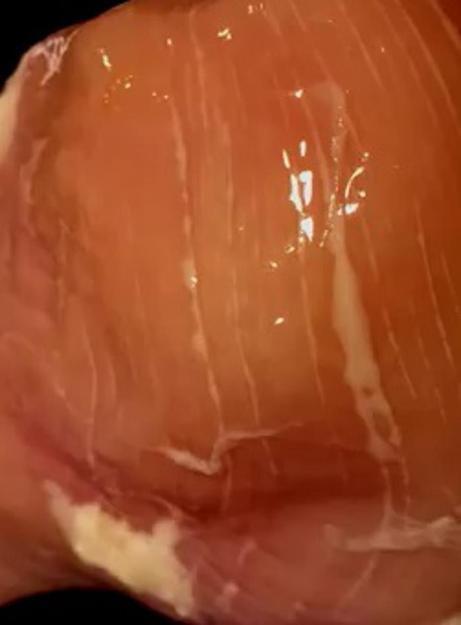 piščanec | Avtor: Youtube