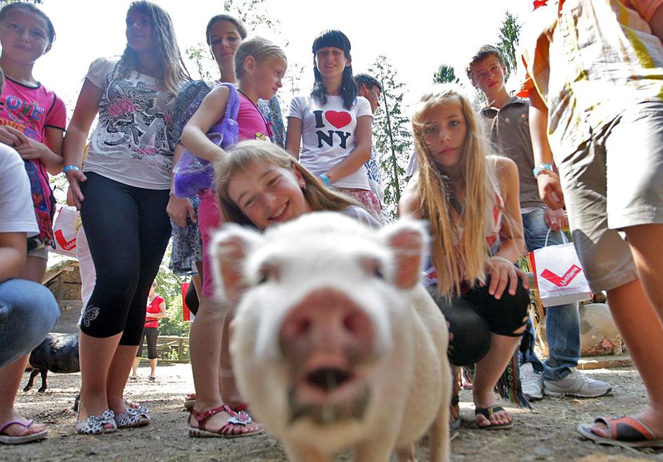 Otroci iz Ukrajine v Živalskem vrtu Ljubljana