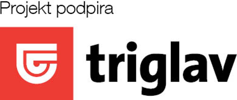 Zavarovalnica  | Avtor: Žurnal24 main