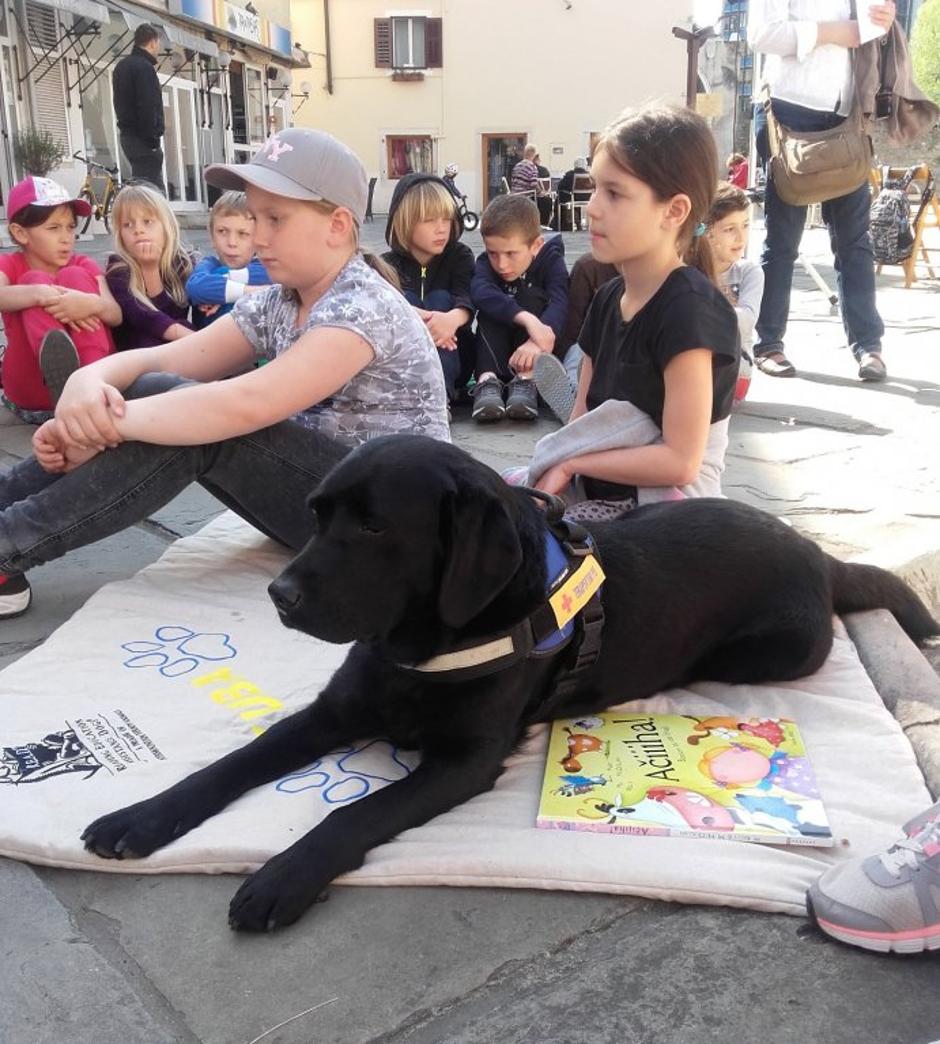 Tačke pomagačke | Avtor: Arhiv Društva Tačke pomagačke