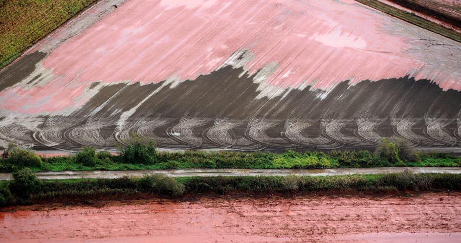 IZLITJE, NEVARNA GOŠČA, STRUPENA SNOV, MADŽARSKA