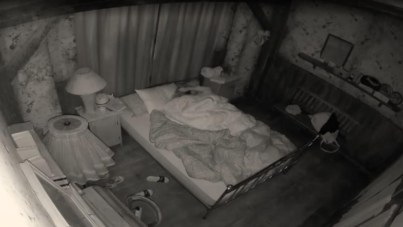 tom, manja, kmetija 2022