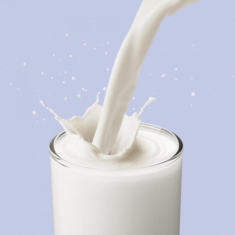 Kozarec mleka | Avtor: Shutterstock