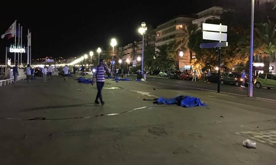 nica | Avtor: Reševalni pas/Twitter