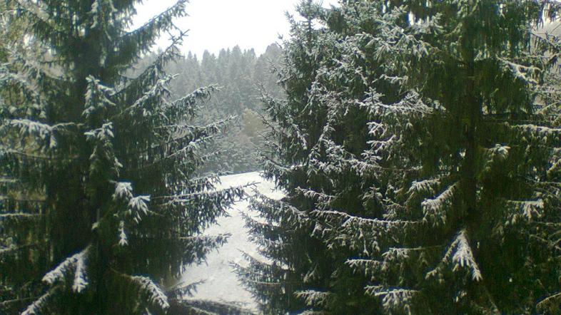 Slovenijo pobelil sneg.