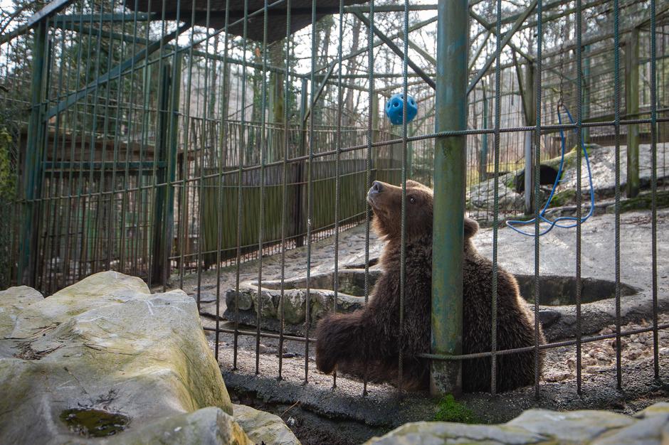 Zoo Park Rožman | Avtor: Anže Petkovšek