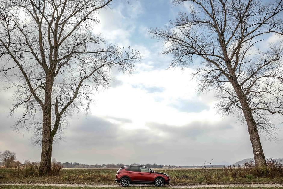 Opel Grandland X Hybrid4 | Avtor: Saša Despot