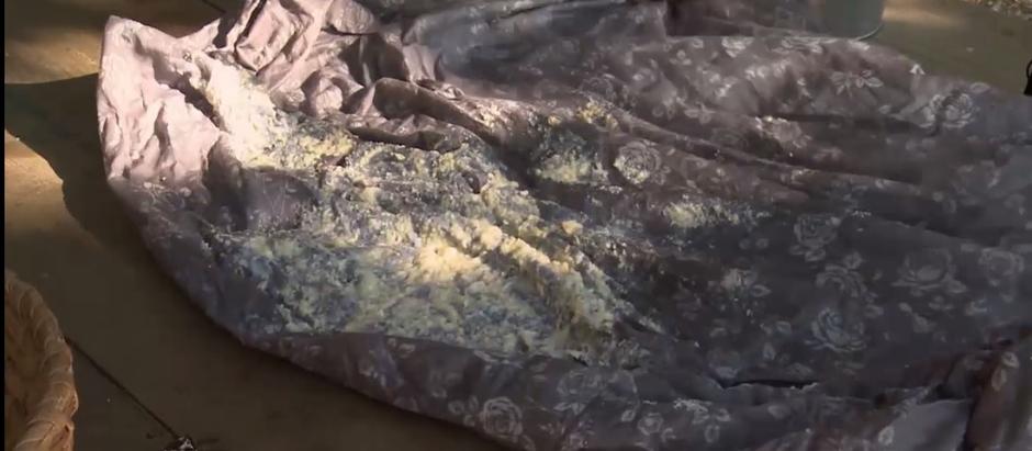 kmetija2017 | Avtor: 