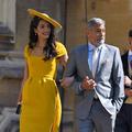 amal clooney, george clooney
