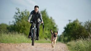 Pes ob kolesu