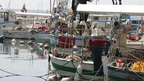 Slovenskim ribičem je ERC prinesel veliko izgubo.