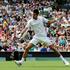 Đoković Djoković Ferrero Wimbledon prvi krog tenis