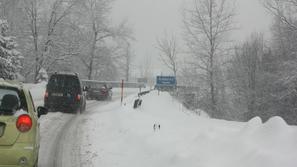 (Foto: bralec Andrej )