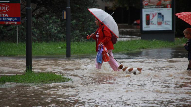 (Foto: Benjamin Kovač)