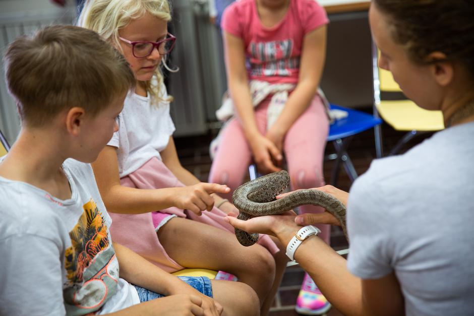 Eurospin | Avtor: Kaja Brezočnik