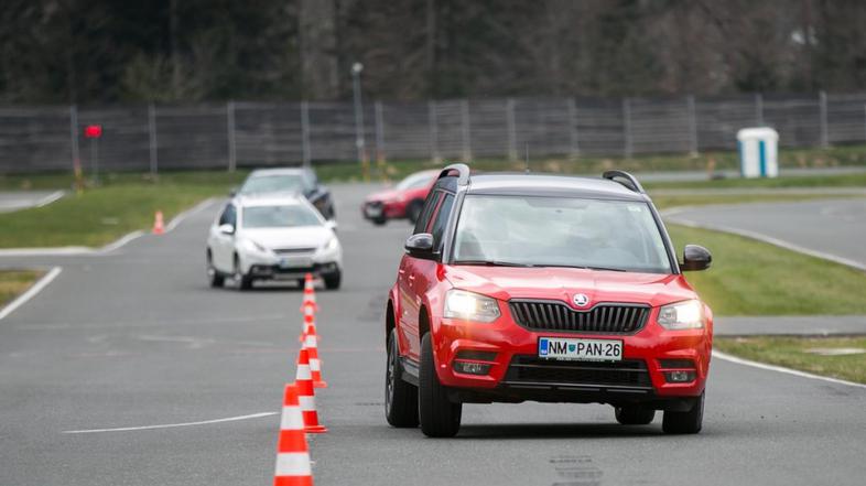 Veliki primerjalni test križancev