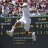 Novak Djoković wimbledon
