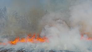 Požar - fotografija je simbolična