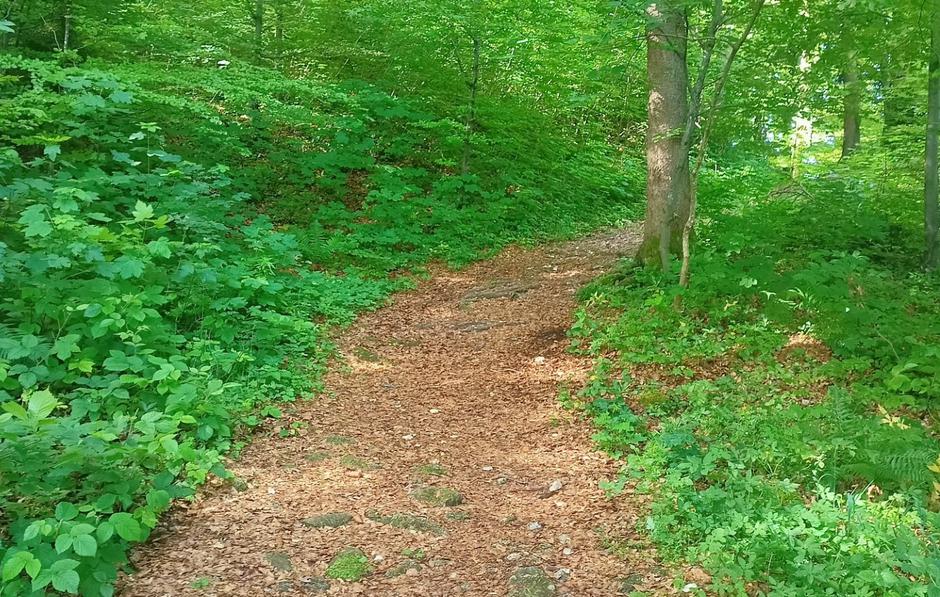 Gradišče | Avtor: D. M.