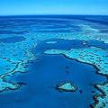 Veliki koralni greben ob vzhodni avstralski obali se bo čez slabo leto skoraj za