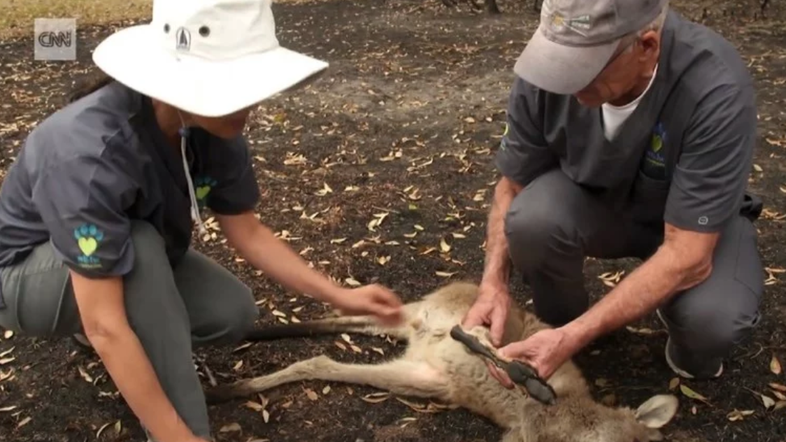 Požari v Avstraliji