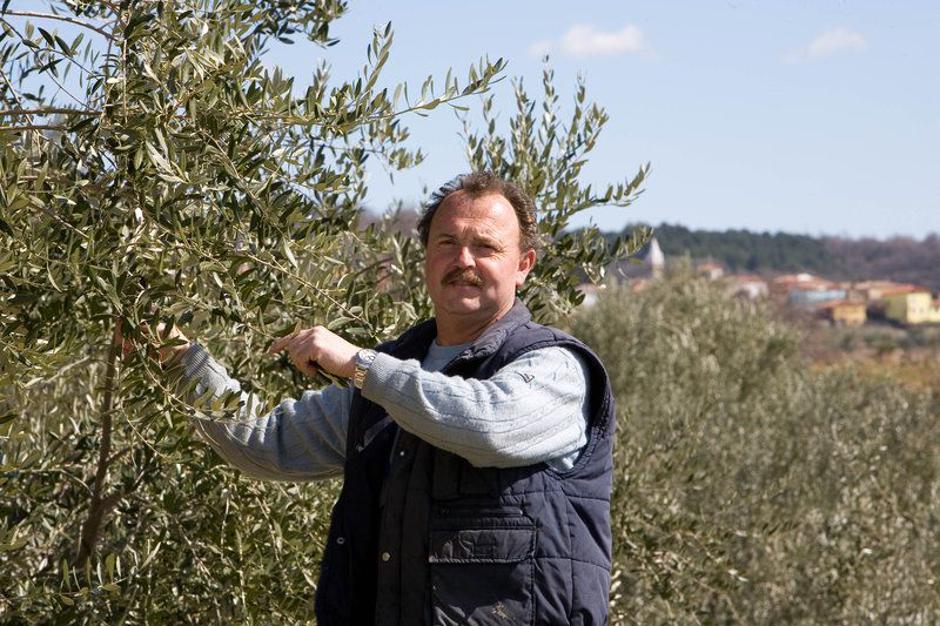 Oljčno olje Morgan | Avtor: Osebni arhiv J. F. Morgana